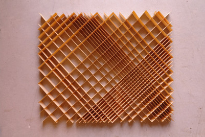 VOMO: veneer scale